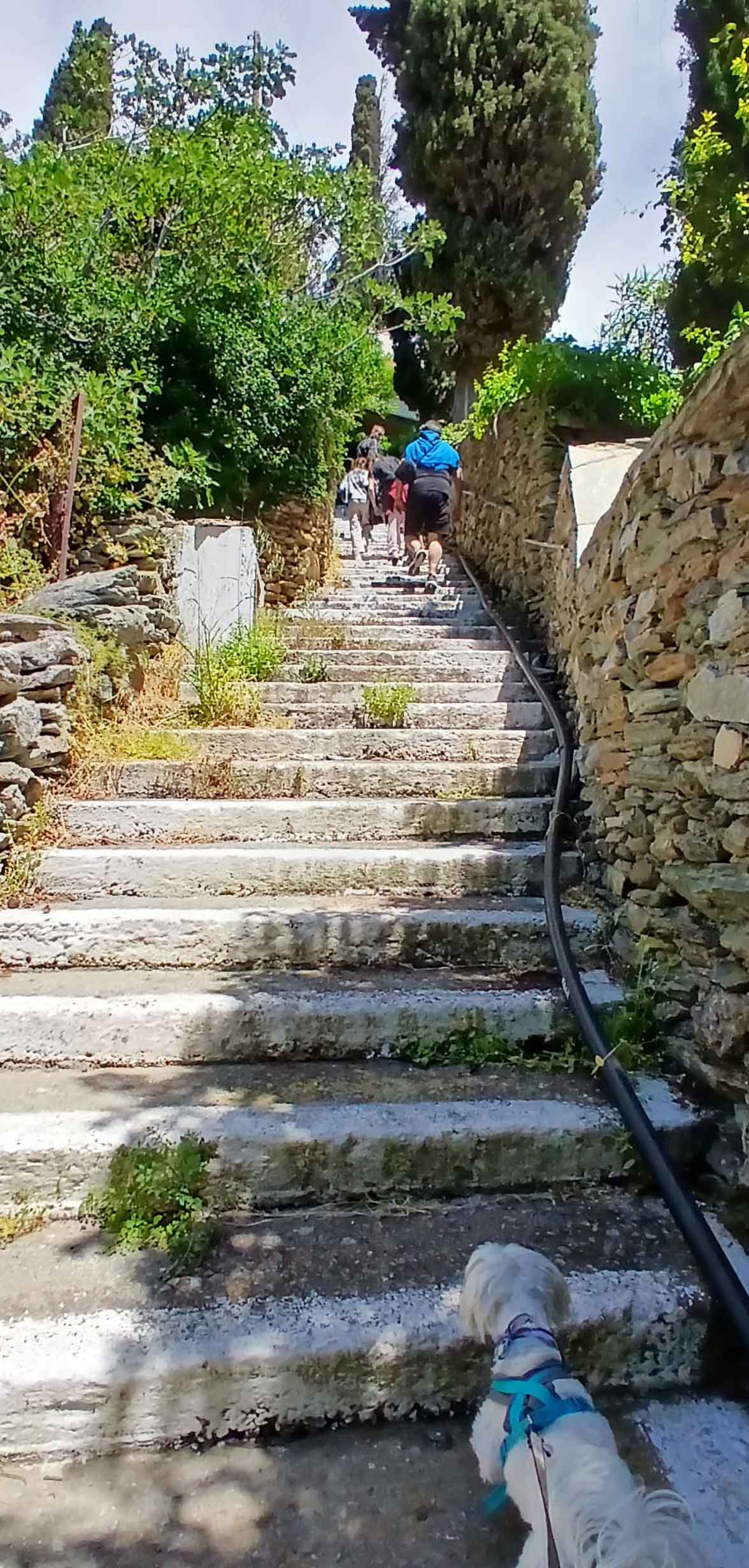Αττική — DB260055