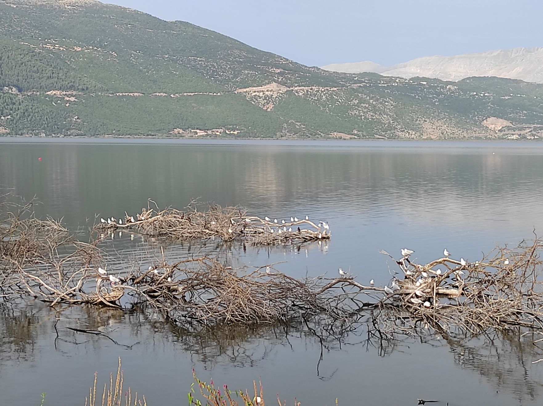 Ήπειρος — DB260060